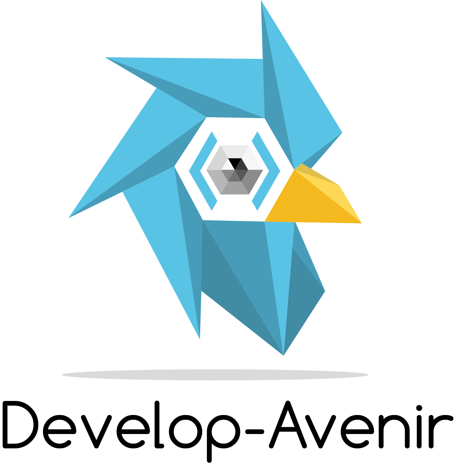Logo Develop-Avenir